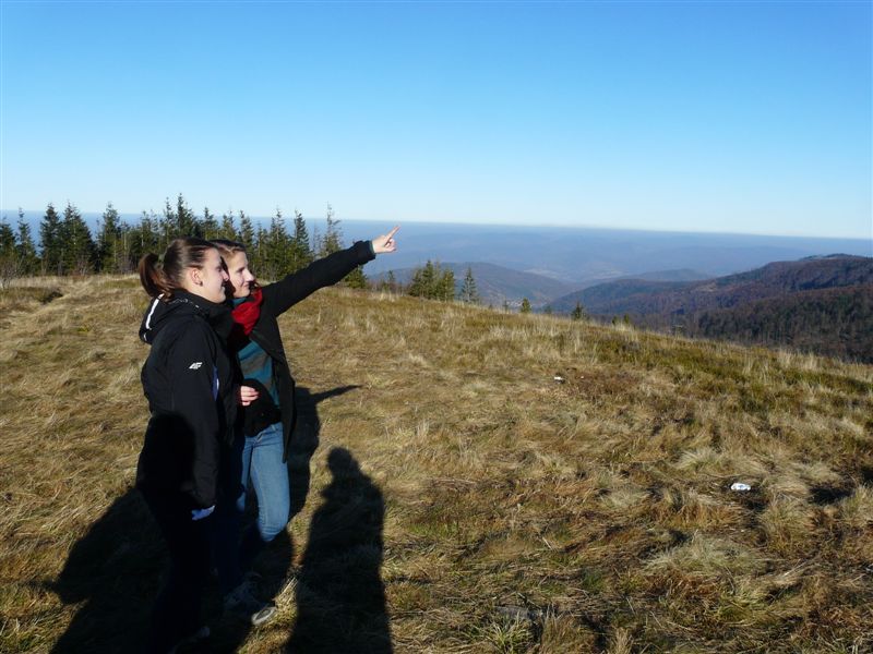 sidzina11 115